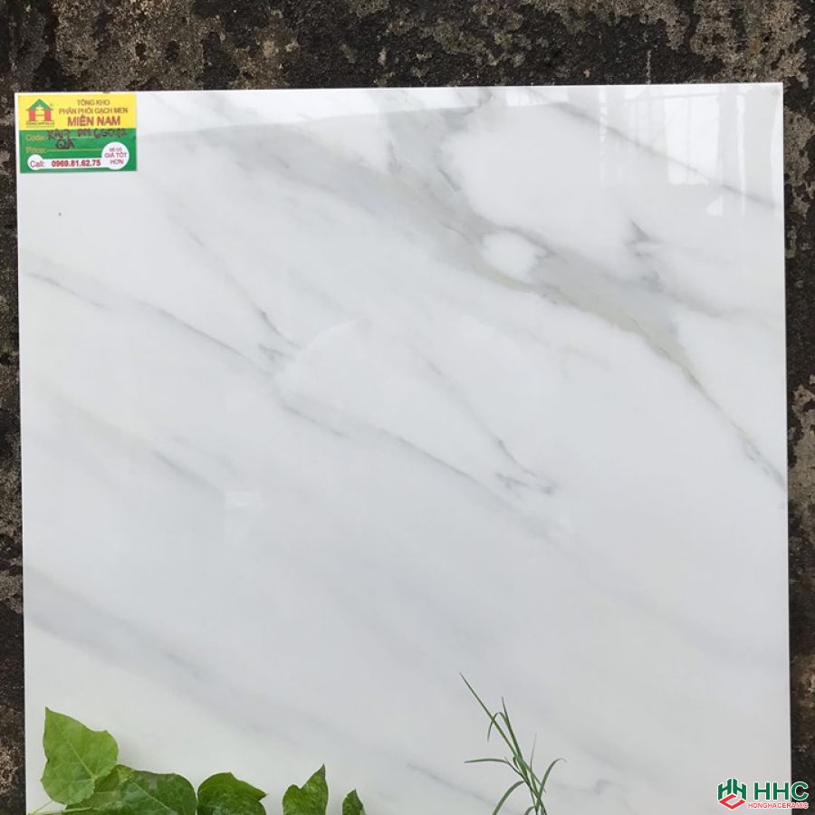 Gạch 60x60 TTC KA17PN66012